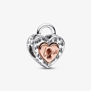 Rebajas Pandora: Charm Corazón Divisible en Dos Tonos