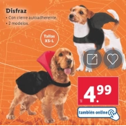 Must en disfraces de Halloween para perros en Lidl por 4,99€